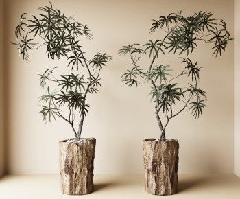 Wabi-sabi Style Ground Green Plant Potted Plants-ID:106439676