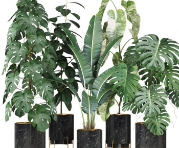 Modern Ground Green Plant Potted Plants-ID:520322088