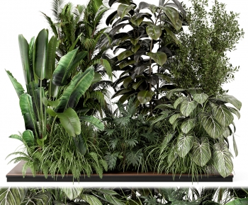 Modern Plant Pile-ID:463531023