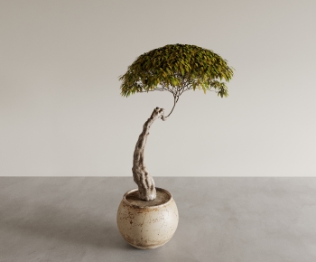 Modern Bonsai-ID:316030031