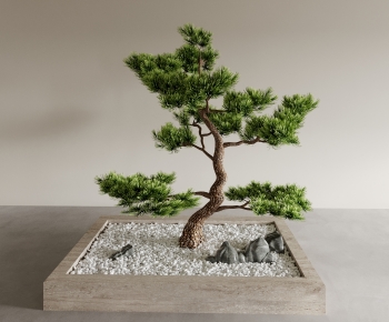 Modern Bonsai-ID:415186889