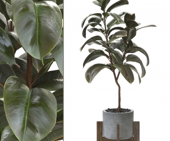 Modern Ground Green Plant Potted Plants-ID:280414106