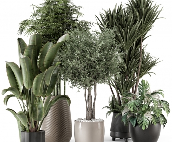 Modern Ground Green Plant Potted Plants-ID:389842999