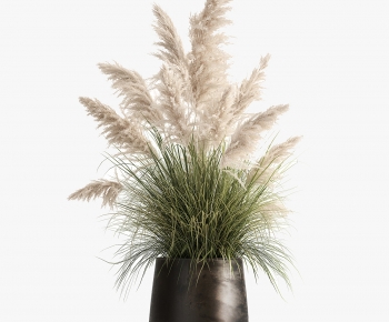 Modern Potted Green Plant-ID:434003111