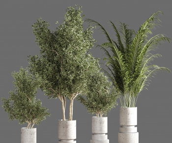 Modern Ground Green Plant Potted Plants-ID:439945946