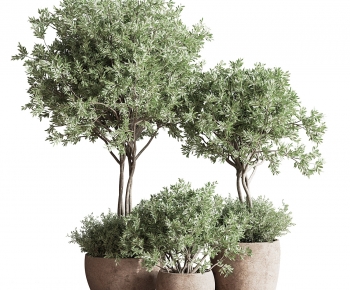 Modern Ground Green Plant Potted Plants-ID:311470039