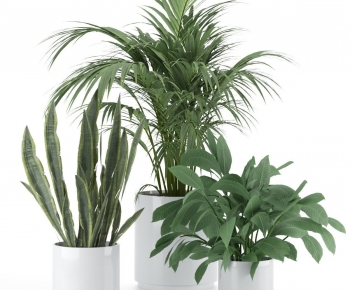 Modern Ground Green Plant Potted Plants-ID:508265979