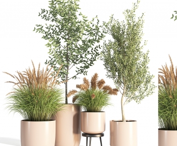 Modern Ground Green Plant Potted Plants-ID:769220112