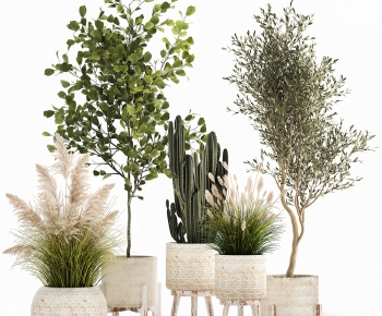 Modern Ground Green Plant Potted Plants-ID:674505007