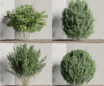 Modern Shrubbery-ID:839396952