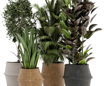 Modern Ground Green Plant Potted Plants-ID:233606101