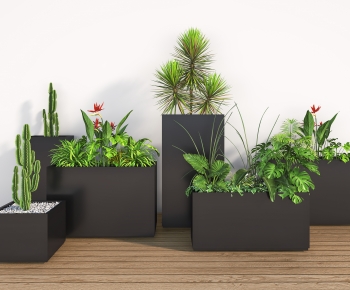 Modern Flower Bed, Flower Bowl, Flower Box-ID:879601008