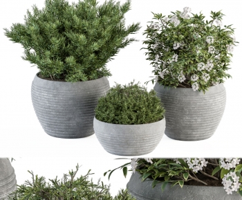 Modern Ground Green Plant Potted Plants-ID:944809962