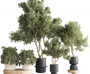 Modern Ground Green Plant Potted Plants-ID:992238042