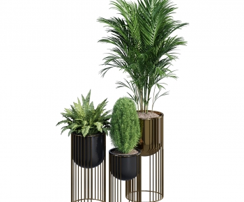 Modern Potted Green Plant-ID:306591998