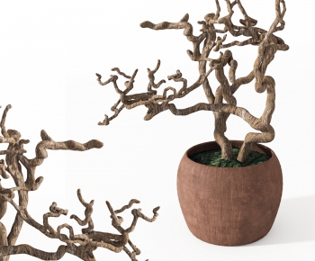 Modern Bonsai-ID:440469986