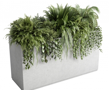 Modern Flower Bed, Flower Bowl, Flower Box-ID:698824889