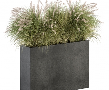 Modern Flower Bed, Flower Bowl, Flower Box-ID:704278966