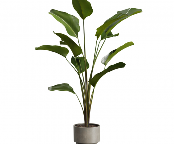 Modern Ground Green Plant Potted Plants-ID:772514101