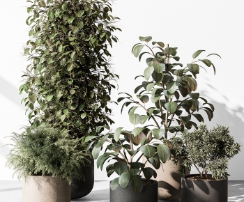 Modern Potted Green Plant-ID:956443072