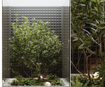 Modern Plant Landscaping-ID:874686009