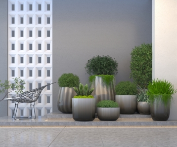 Modern Ground Green Plant Potted Plants-ID:446738964