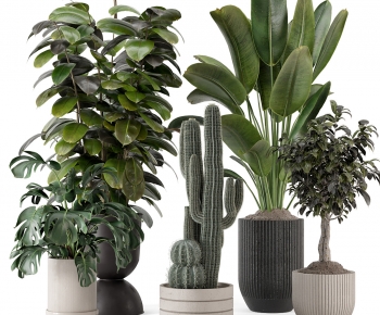 Modern Ground Green Plant Potted Plants-ID:457410108