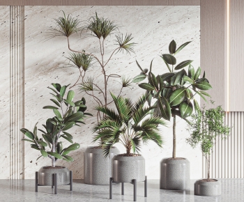 Modern Ground Green Plant Potted Plants-ID:871109011