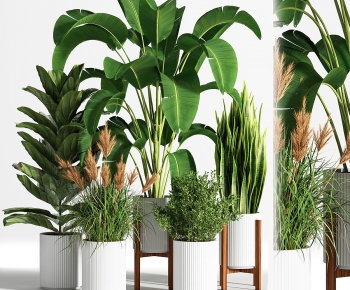 Modern Ground Green Plant Potted Plants-ID:939174899