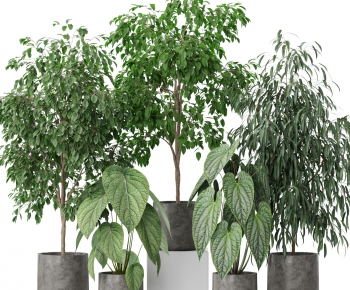 Modern Ground Green Plant Potted Plants-ID:290925981