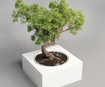 New Chinese Style Bonsai-ID:542404891