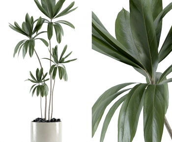 Modern Ground Green Plant Potted Plants-ID:943810944