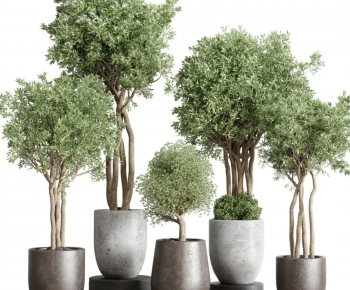 Modern Ground Green Plant Potted Plants-ID:695732128