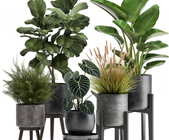 Modern Potted Green Plant-ID:692667968