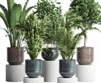 Modern Ground Green Plant Potted Plants-ID:196127898