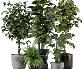 Modern Ground Green Plant Potted Plants-ID:401630439