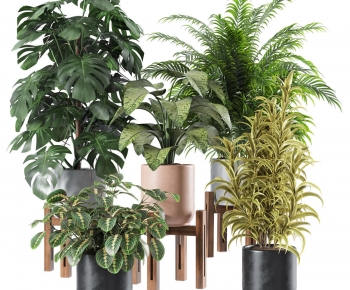 Modern Potted Green Plant-ID:643713007