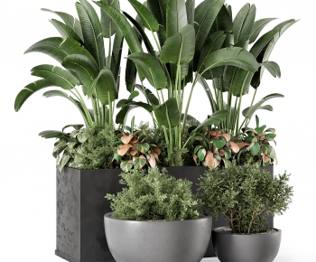 Modern Potted Green Plant-ID:489547011