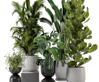 Modern Potted Green Plant-ID:583241032