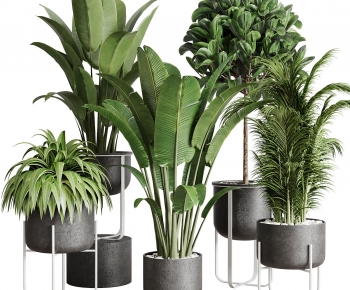 Modern Potted Green Plant-ID:983776092