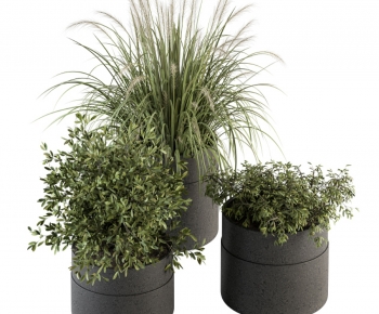 Modern Ground Green Plant Potted Plants-ID:684720992