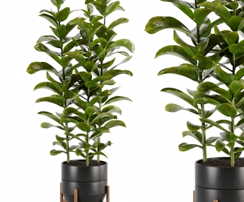 Modern Ground Green Plant Potted Plants-ID:377536064