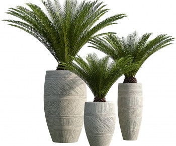 Modern Ground Green Plant Potted Plants-ID:492510084