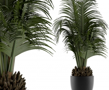 Modern Ground Green Plant Potted Plants-ID:840805055