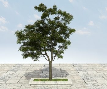 Modern Tree-ID:409075983