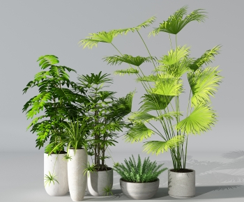 Modern Ground Green Plant Potted Plants-ID:141566049