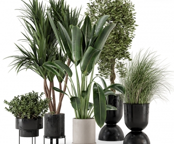 Modern Potted Green Plant-ID:907445912
