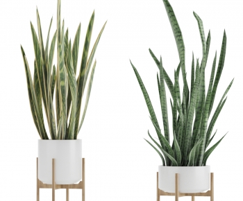 Modern Potted Green Plant-ID:237649923