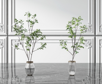 Modern Potted Green Plant-ID:873382097