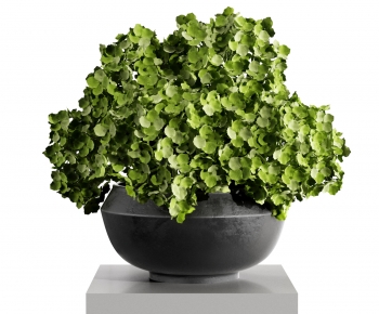 Modern Potted Green Plant-ID:848736053